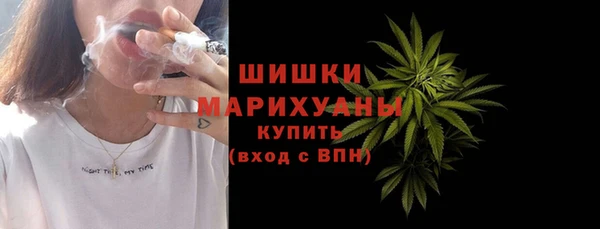 сатива Арсеньев