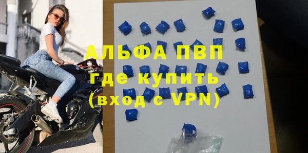 сатива Арсеньев