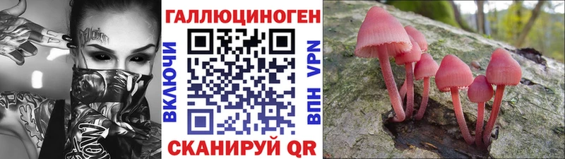 Псилоцибиновые грибы Psilocybine cubensis Менделеевск